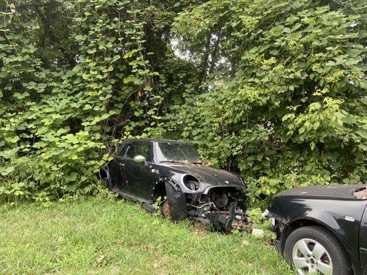 Bavariana 1 Auto Repair