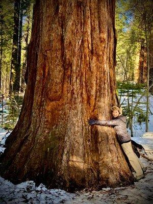 Me hugging a giant sequoia