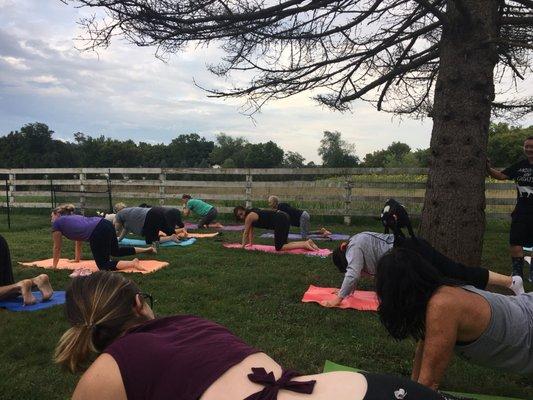 Happy Goat Lucky Yoga