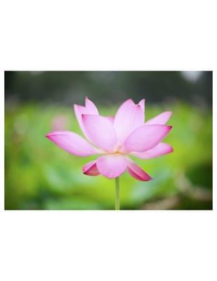 Physica Center For Healing & Education