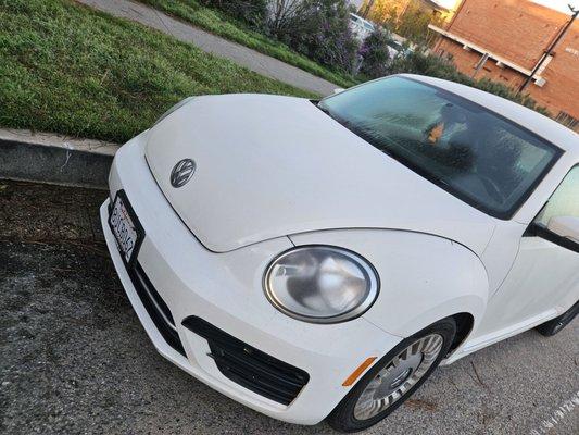 Piazza Volkswagen of Langhorne