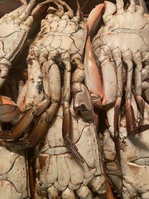 CBS Seafood & Catering