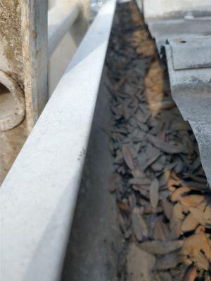 Better life home services