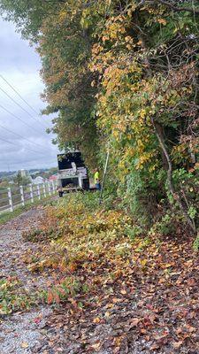 Tree trimming. Hundreds of trees getting trim at a community in PA.