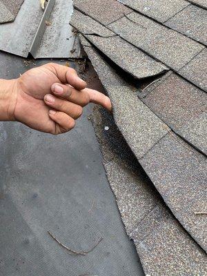 Mighty Dog Roofing of Coastal Bend TX