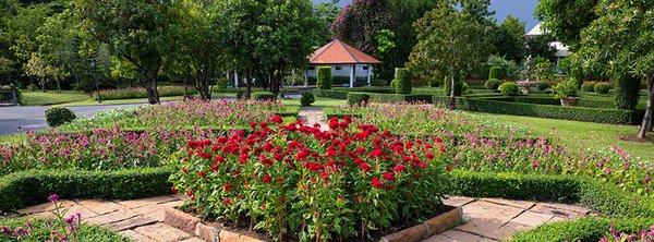 Daniel's Master Landscaping