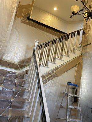 Steven’s painting services