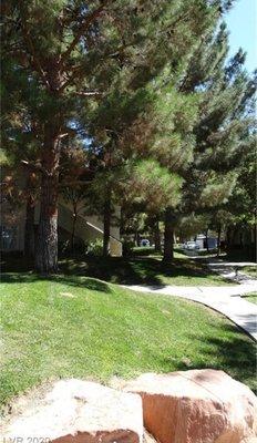 Canyon Willow Home Owners Association