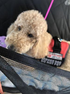 Live Oak Animal Hospital