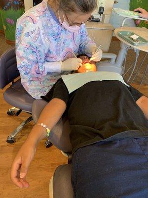 Dr Laura Van Roy, DDS