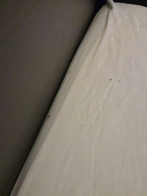 Bed bugs!!!!!!