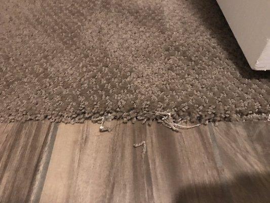 Carpet fraying at doorway