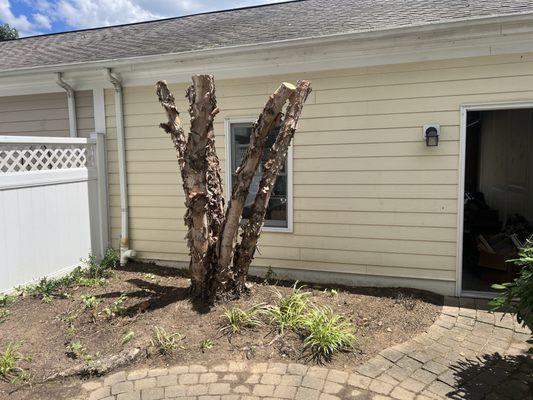 Saravia Landscaping Services