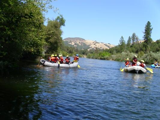 Environmental Traveling Companions