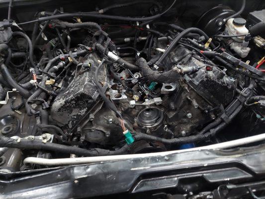 Goat's Automobile Mechanic