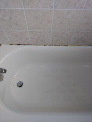 Gettin' Down and Dirty Cleaning