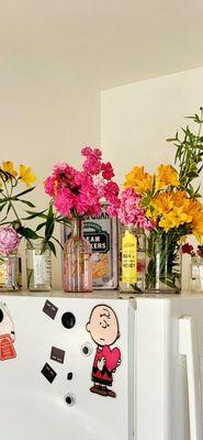 Shafer's Ace Hardware