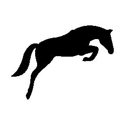 Greylyn Show Stable and Riding Academy