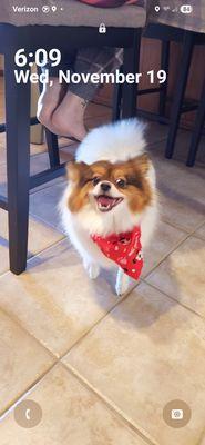 Bay Village Animal Clinic