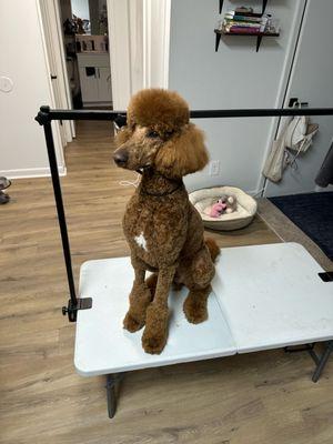 Kel's Kraft Grooming