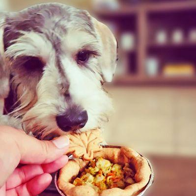 Loyal FURiend Louie enjoying Chicken Pot Pie.
