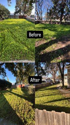 Toni’s Yard Service