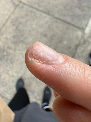 Post 30 dollar manicure at Rittenhouse nails