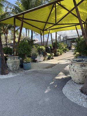 Amelia's Smarty Plants