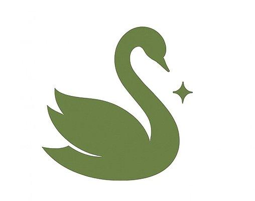 Desert Swan Cleaning Services