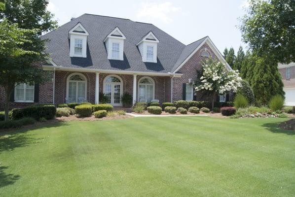 Executive Turf Management