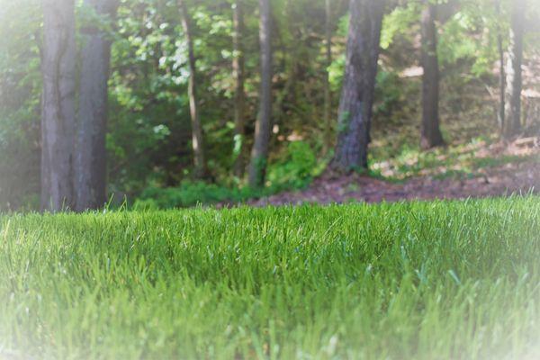 ChemPro Lawn Care