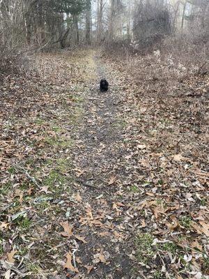 Haines Memorial State Park