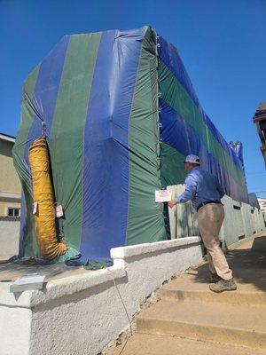 Moe Go Termite & Pest Control