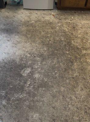 This is before they got here to cleaning