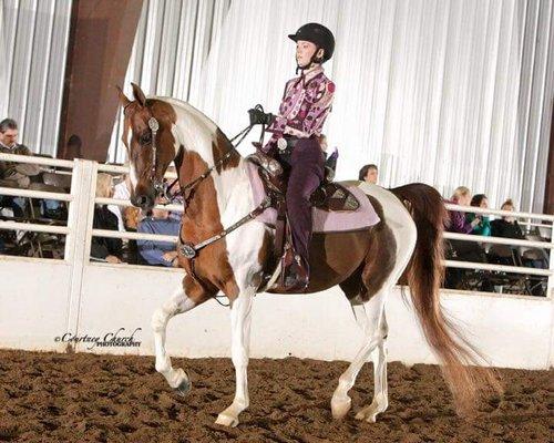 Silver Springs Equestrian Center