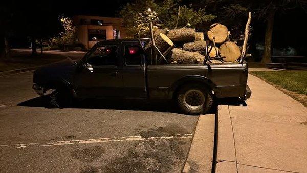 Morgans Lands and Trees