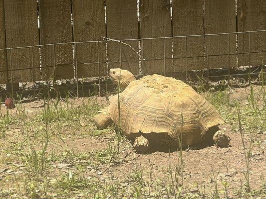 Rose Of Sharon Ranch and Ministry Center