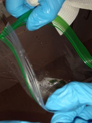Retainer in solution