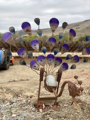 Suncoast Organic Farm