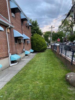 Lawnmower and trimming