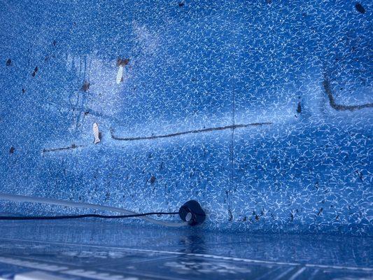 Zumba Pools and Home Renovations