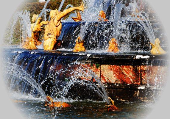 Photography by Jacqueline M Lewis