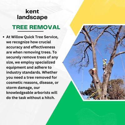 Tree Removal