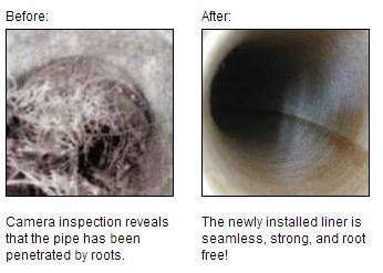 Trenchless Replacement Specialist