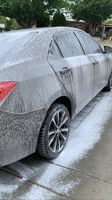 Rossetti’s Sleek Autocare