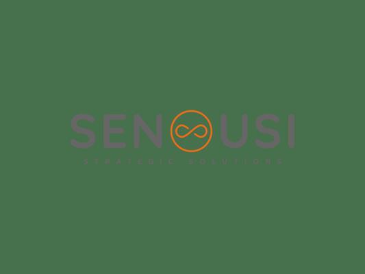 Senousi Strategic Solutions