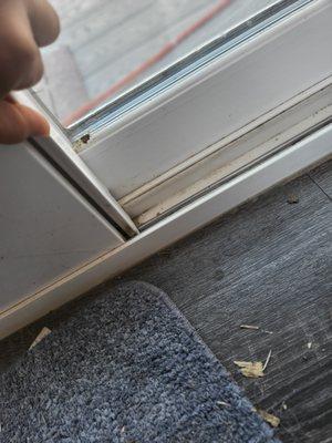 NESCOR Home Remodeling