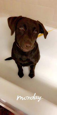 Warwick Animal Hospital