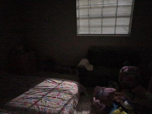 Outside light beams into Kids Bedrm.