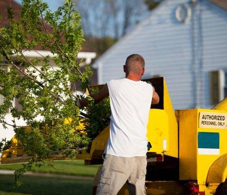 Lansing Tree Trimming & Removal Services